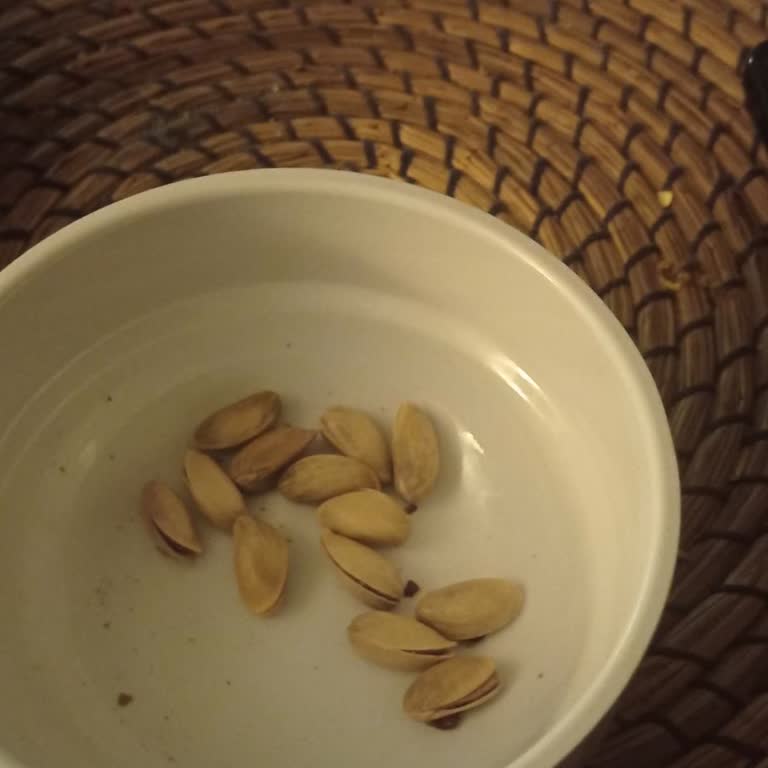 Online Çiftçi Mağazası Antep Fıstığı Ana Çıtak Değil