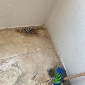 Yapı Temizlik İzmir Yapı Temizlik Pişmanlıktır