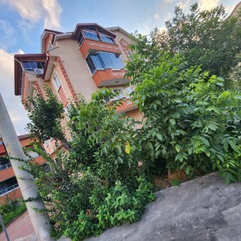 İzmir Büyükşehir Belediyesi Sorun Yaratan Ağaç Dalları