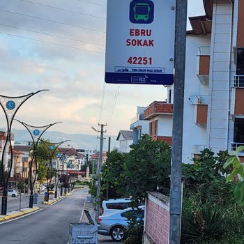 İzmir Büyükşehir Belediyesi Sorun Yaratan Ağaç Dalları