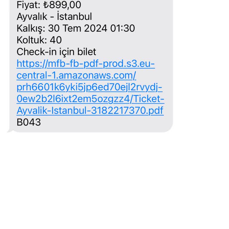 Kamil Koç Sarhoş Yolcu Ve Muavin Skandalı