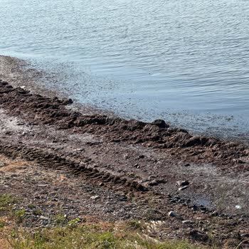 Şarköy Belediyesi Terziköy'e Bağlı Yazlık Sitelerinin Kötülüğü