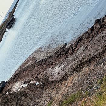 Şarköy Belediyesi Terziköy'e Bağlı Yazlık Sitelerinin Kötülüğü