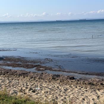 Şarköy Belediyesi Terziköy'e Bağlı Yazlık Sitelerinin Kötülüğü