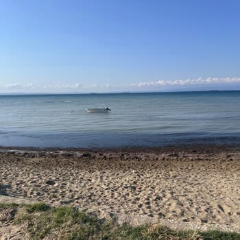 Şarköy Belediyesi Terziköy'e Bağlı Yazlık Sitelerinin Kötülüğü