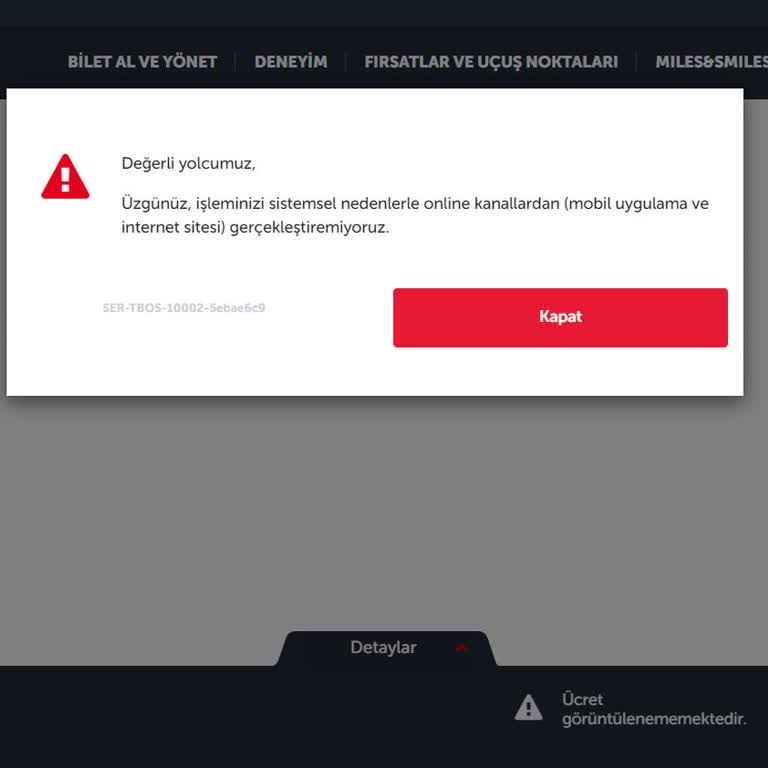 THY Bilet Değişikliği Ekranında Alınan Sistemsel Hata Mesajı