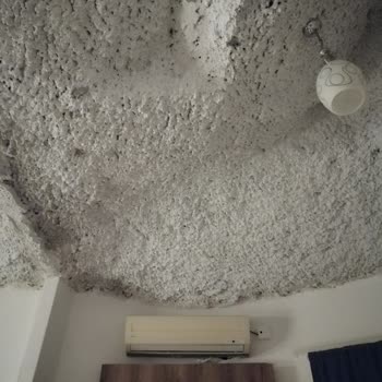 Lykia Botanika Beach & Fun Club Kötü Temizlik, Yetersiz Hizmet Ve Hayal Kırıklığı Yaratan Deneyim