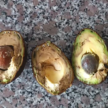 Migros'un Meyve Sebzesi Bozuk Ürün Satışı Yapılıyor Sürekli