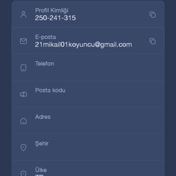 Expert Option'a Para Yatırdım Bakiyede Göstermiyor