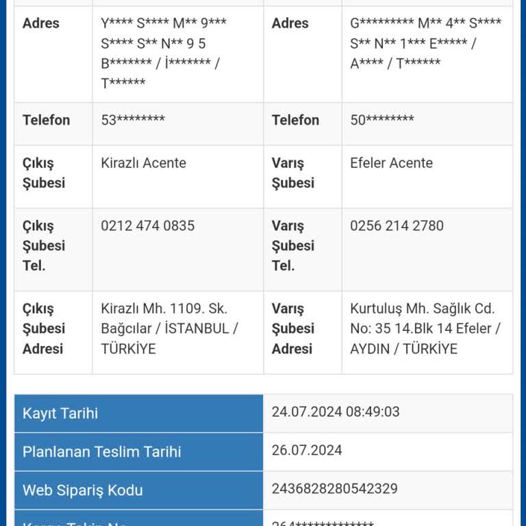 Sürat Kargo Siparişim Neden Hala Teslim Edilmedi?