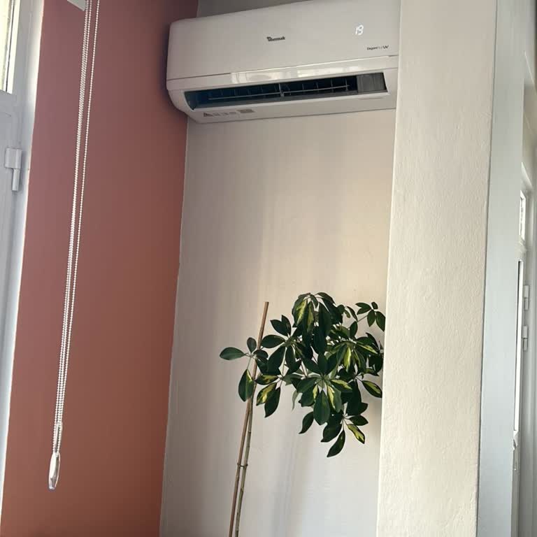 Baymak Klimanın Eksik Parçası Gelmedi