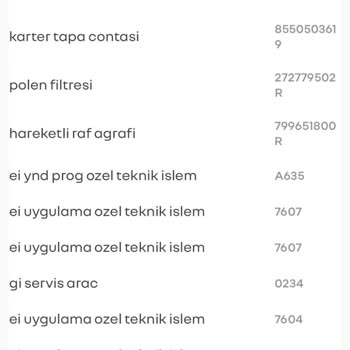 Renault Austral Servis Parça Sorunu