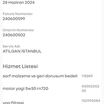 Renault Austral Servis Parça Sorunu