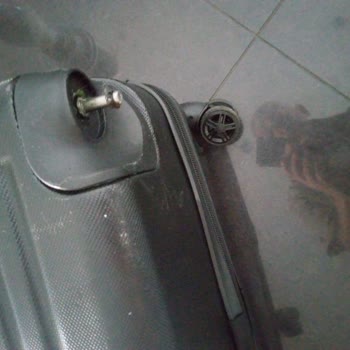 Ajet Kofferbeschädigung kaputte Koffer am Rollband, mangelhafter Service und Entschädigung fehlt