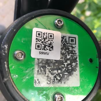 Martı Mobilete Araca Zarar Verdi