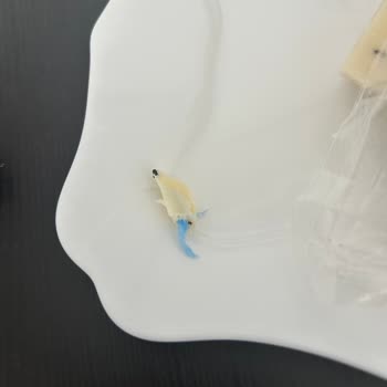 Ariste Peynirden Poşet Çıktı