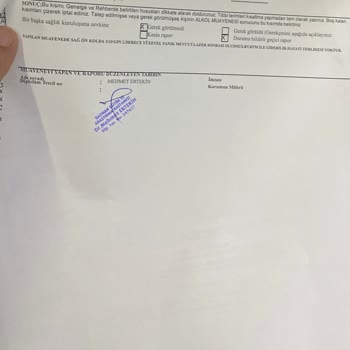 Golden Güzellik Kasıtlı Yaralama, İhmal Ve Çocuk Çalışanca Hizmet