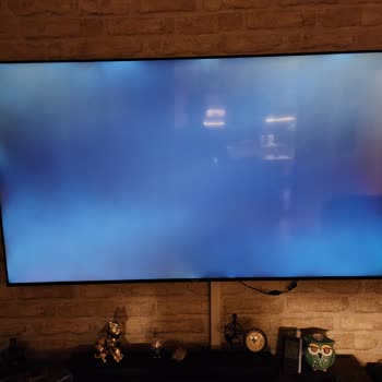 Sunny Marka Almamanız İçin Geçerli Bir Sebep