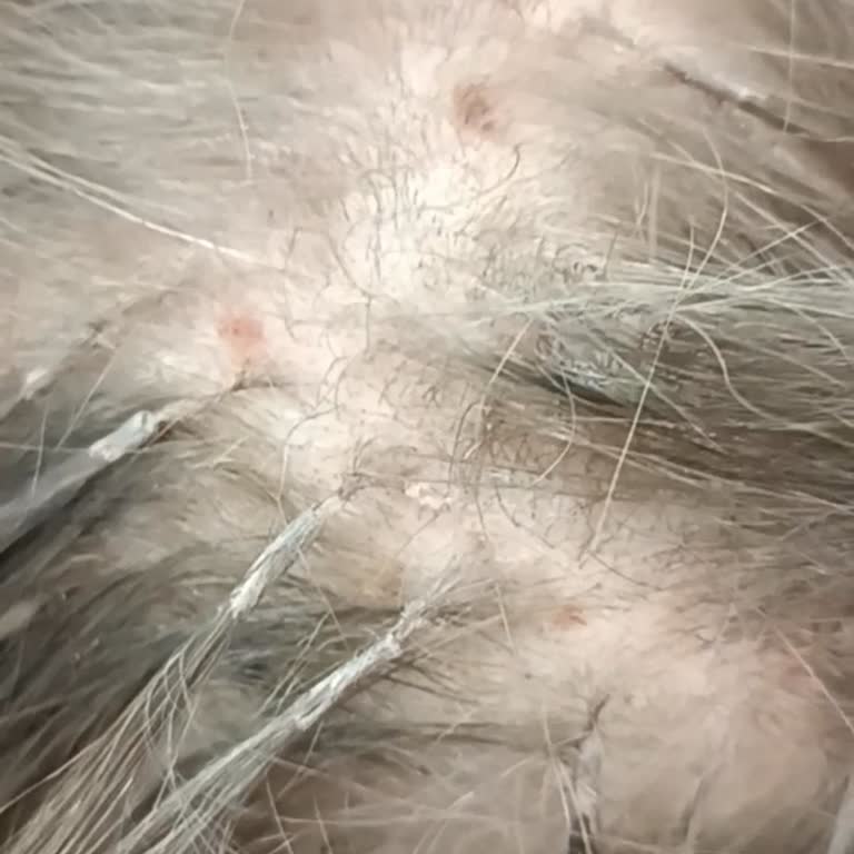 Wo-Men Kuaför (İzmir) Müşteri Memnuniyeti Sıfır, Saçlarımı Mahvetti!