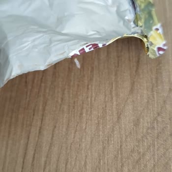 Ülker Ülke Marka Çikolatadan Onlarca Kurt Çıktı