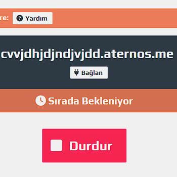 Aternos Sıra Sorunu, Oyun Keyfimiz Kaçıyor!