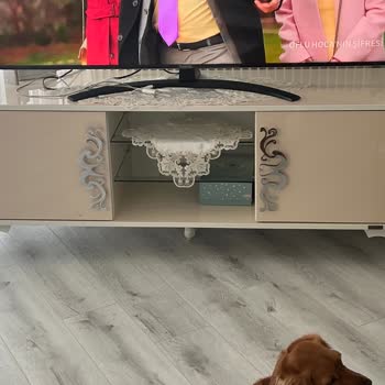 İstikbal Bazı Kapakların Renk Değişimi