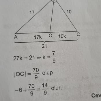 Yedi İklim Yayınevi Yedi Iklım 2024 ÖABT Deneme