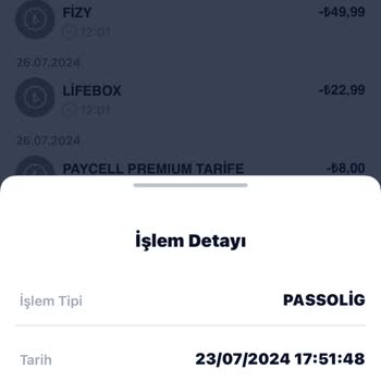 Passolig Başvuru Yaptım Elime Ulaşmadı.