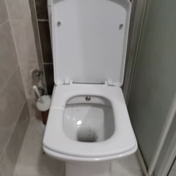 Creavit Klozet Kapağı Kırık
