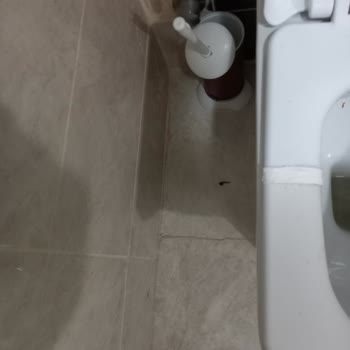 Creavit Klozet Kapağı Kırık