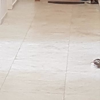 Bizimevler Site Yönetimi Güvenlik Ve Hijyen Sorunlarıyla Dolu