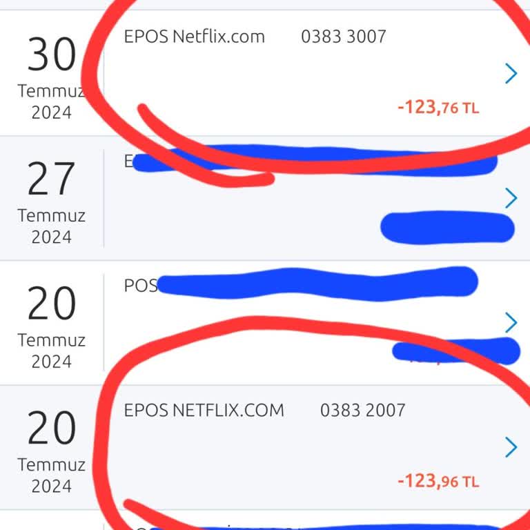 Netflix Ayda 2 Kez Ödeme Alıyor!