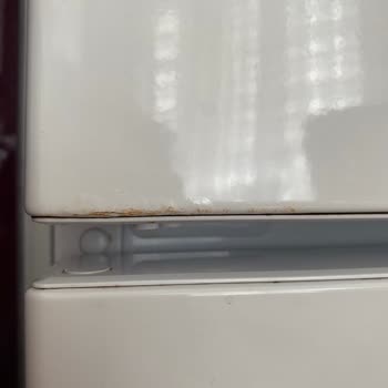 Samsung Kapıda Paslanma Sonucu