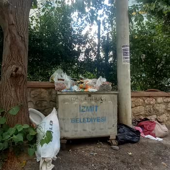 İzmit Belediyesi Mahalledeki Çöp Sorunu