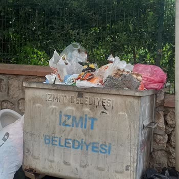 İzmit Belediyesi Mahalledeki Çöp Sorunu