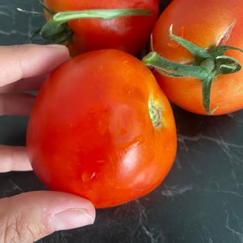 Migros Çürük Ürün Gönderimi