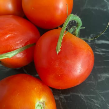 Migros Çürük Ürün Gönderimi