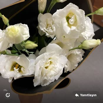 Çiçek Sepeti Pişmanlığı