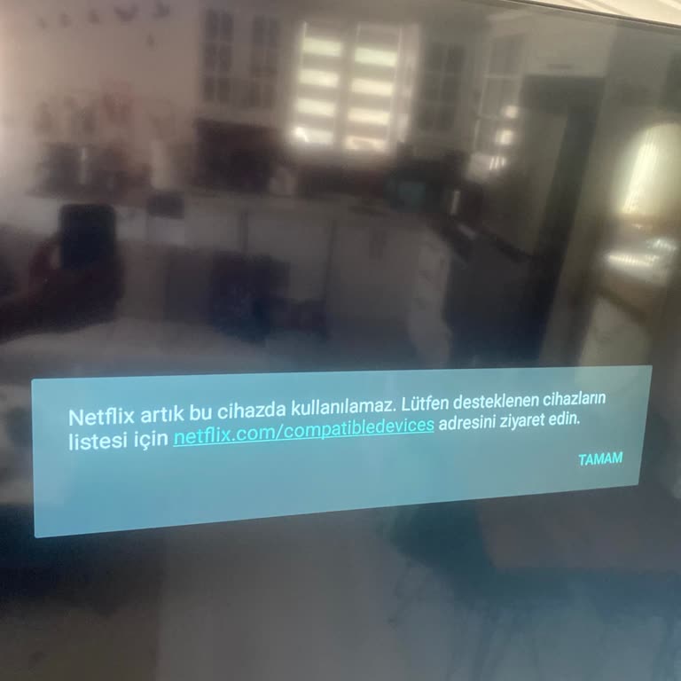 Sunny Smart Android TV Netflix Arızası