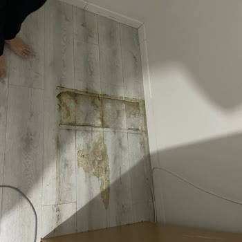 Anadolu Sigorta Hasarımı Karşılamayarak Mağduriyet Yaratıyor.