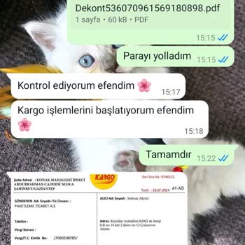Kurumsal Paketleme Evde Paketleme İş Ve Kapora Şikayetleri