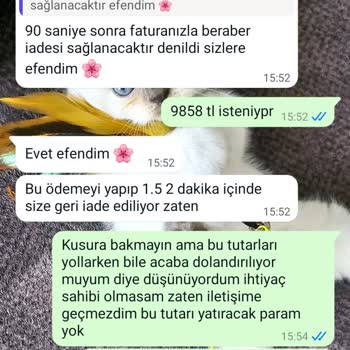 Kurumsal Paketleme Evde Paketleme İş Ve Kapora Şikayetleri