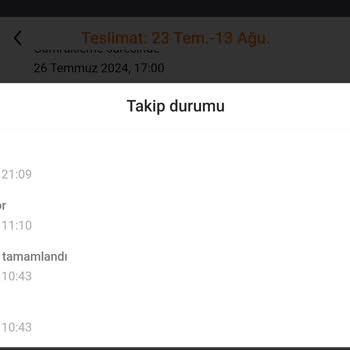 Temu Daki Alışverişlerin Gümrükte Uzun Süre Bekletilmesi
