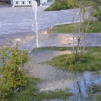 Palandöken Belediyesi Park Sulama Sorunu