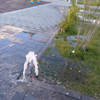 Palandöken Belediyesi Park Sulama Sorunu