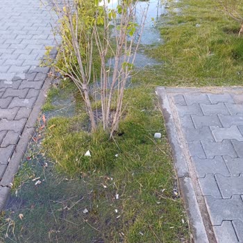 Palandöken Belediyesi Park Sulama Sorunu