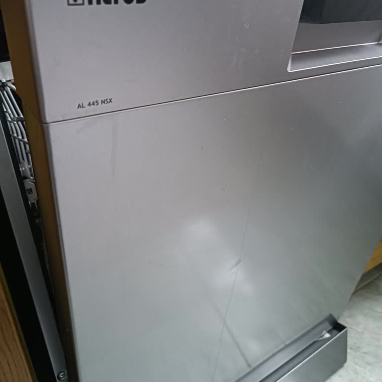 Altus Bulaşık Makinesi Ön Kapağında Boya Akması