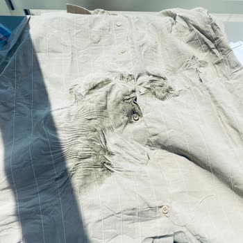 Yurtiçi Kargo Kargoda Hasar Gören Ürünüm