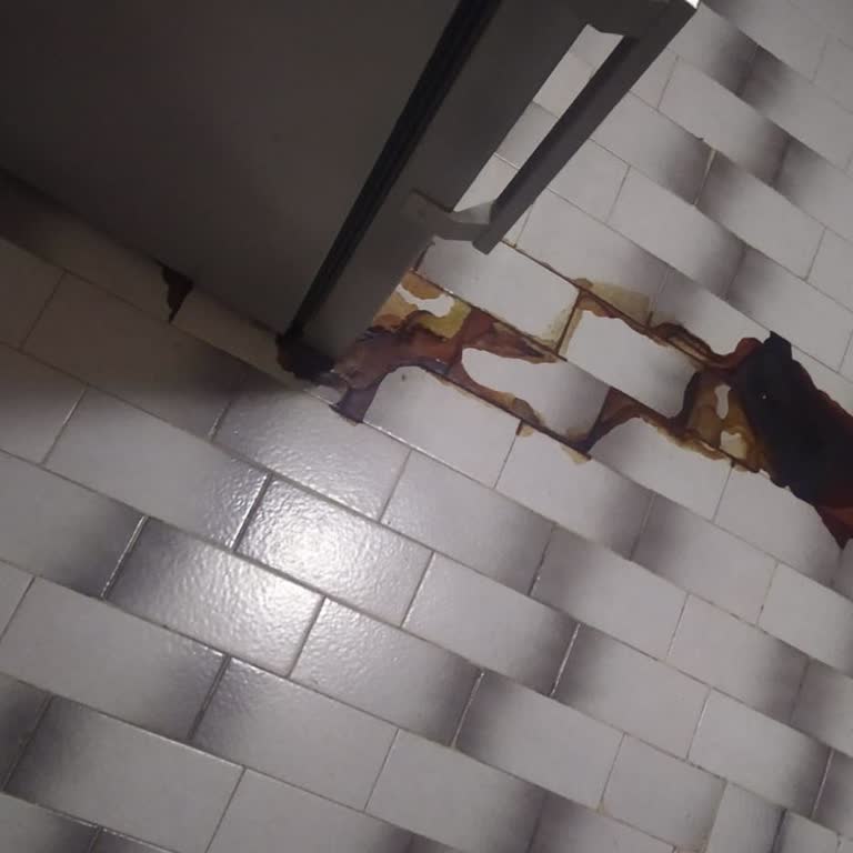 Arçelik Buzdolabı Aldığıma Pişmanım