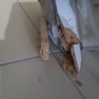 A101 Aldığım Ürün Hasarlı Geldi Ve İade Süreci Sorunlu